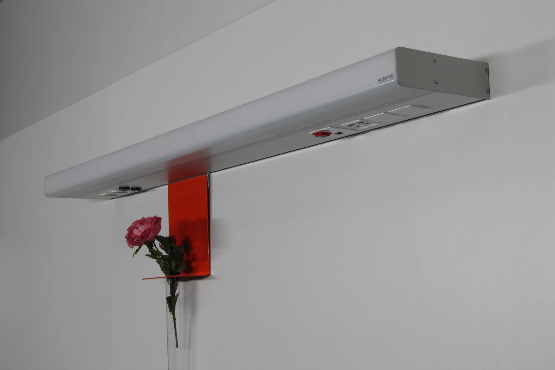 Side view of a white wall lamp with a red holder to which a single rose is attached